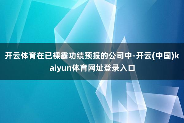 开云体育在已裸露功绩预报的公司中-开云(中国)kaiyun体育网址登录入口