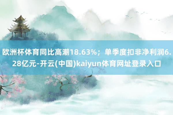 欧洲杯体育同比高潮18.63%;单季度扣非净利润6.28亿元-开云(中国)kaiyun体育网址登录入口