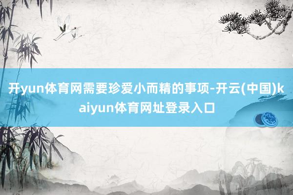 开yun体育网需要珍爱小而精的事项-开云(中国)kaiyun体育网址登录入口
