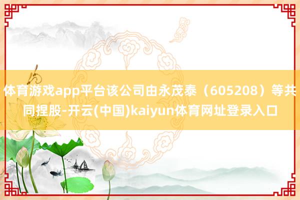体育游戏app平台该公司由永茂泰（605208）等共同捏股-开云(中国)kaiyun体育网址登录入口