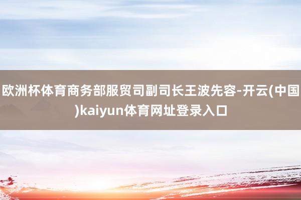 欧洲杯体育商务部服贸司副司长王波先容-开云(中国)kaiyun体育网址登录入口
