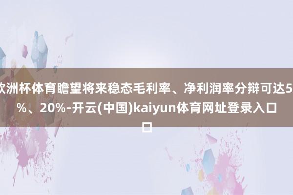 欧洲杯体育瞻望将来稳态毛利率、净利润率分辩可达58%、20%-开云(中国)kaiyun体育网址登录入口