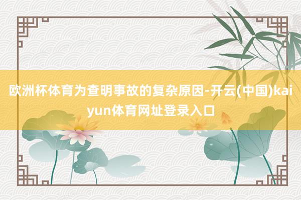 欧洲杯体育为查明事故的复杂原因-开云(中国)kaiyun体育网址登录入口