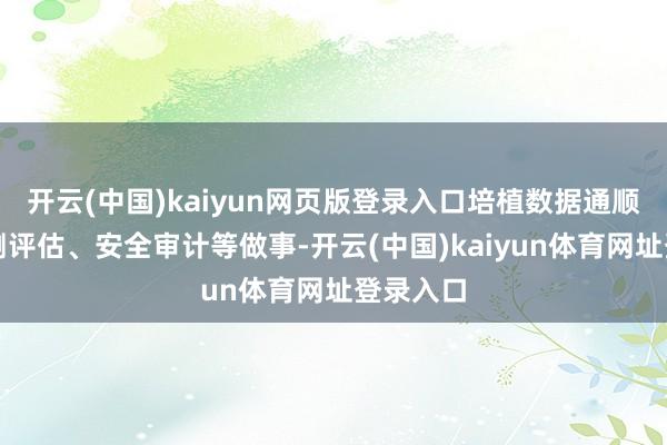 开云(中国)kaiyun网页版登录入口培植数据通顺安全检测评估、安全审计等做事-开云(中国)kaiyun体育网址登录入口