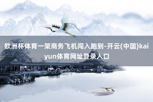 欧洲杯体育一架商务飞机闯入跑到-开云(中国)kaiyun体育网址登录入口