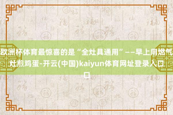 欧洲杯体育最惊喜的是“全灶具通用”——早上用燃气灶煎鸡蛋-开云(中国)kaiyun体育网址登录入口