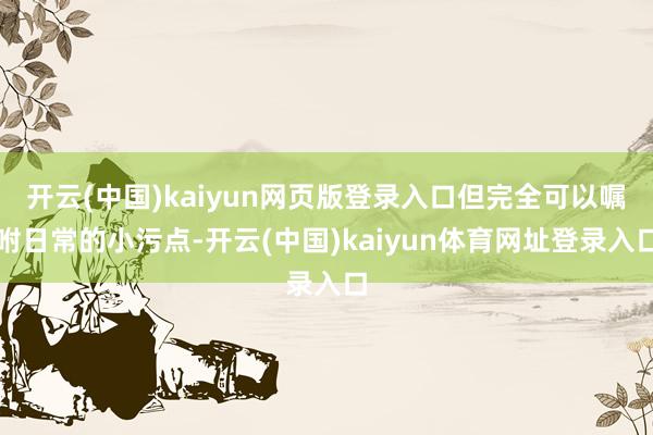 开云(中国)kaiyun网页版登录入口但完全可以嘱咐日常的小污点-开云(中国)kaiyun体育网址登录入口